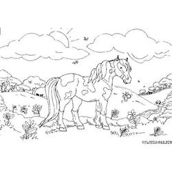 Раскраска: лошадь (Животные) #2223 - Бесплатные раскраски для печати