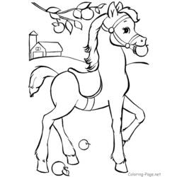 Раскраска: лошадь (Животные) #2225 - Бесплатные раскраски для печати