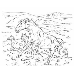 Раскраска: лошадь (Животные) #2226 - Бесплатные раскраски для печати
