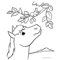 Раскраска: лошадь (Животные) #2227 - Бесплатные раскраски для печати
