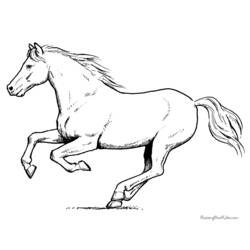 Раскраска: лошадь (Животные) #2237 - Раскраски для печати