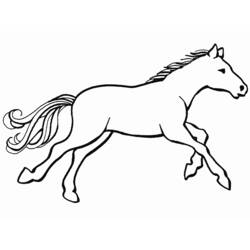 Раскраска: лошадь (Животные) #2241 - Раскраски для печати