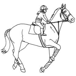 Раскраска: лошадь (Животные) #2245 - Раскраски для печати