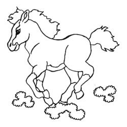 Раскраска: лошадь (Животные) #2252 - Бесплатные раскраски для печати