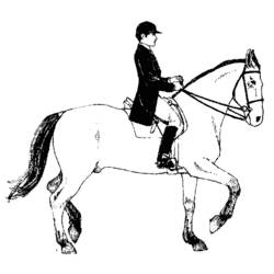 Раскраска: лошадь (Животные) #2261 - Бесплатные раскраски для печати