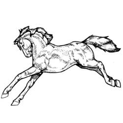 Раскраска: лошадь (Животные) #2281 - Бесплатные раскраски для печати