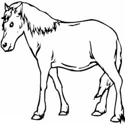 Раскраска: лошадь (Животные) #2299 - Бесплатные раскраски для печати