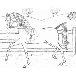 Раскраска: лошадь (Животные) #2334 - Бесплатные раскраски для печати