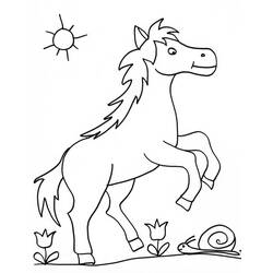 Раскраска: лошадь (Животные) #2343 - Бесплатные раскраски для печати