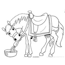 Раскраска: лошадь (Животные) #2347 - Раскраски для печати