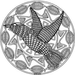 Раскраска: колибри (Животные) #3806 - Раскраски для печати