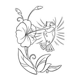 Раскраска: колибри (Животные) #3866 - Раскраски для печати