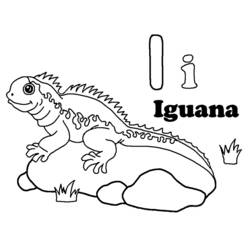 Раскраски: игуана - Раскраски для печати
