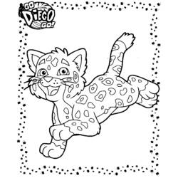 Раскраска: ягуар (Животные) #9004 - Раскраски для печати