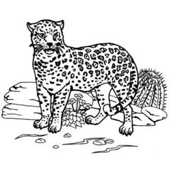Раскраска: ягуар (Животные) #9005 - Раскраски для печати