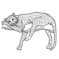 Раскраска: ягуар (Животные) #9023 - Раскраски для печати