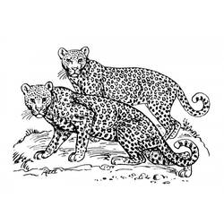 Раскраска: ягуар (Животные) #9031 - Раскраски для печати