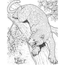 Раскраска: ягуар (Животные) #9038 - Раскраски для печати