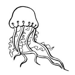 Раскраска: медуза (Животные) #20381 - Раскраски для печати