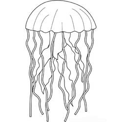 Раскраска: медуза (Животные) #20383 - Раскраски для печати