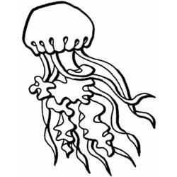 Раскраска: медуза (Животные) #20390 - Бесплатные раскраски для печати