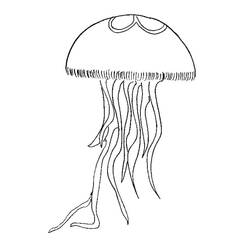 Раскраска: медуза (Животные) #20399 - Раскраски для печати