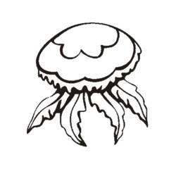 Раскраска: медуза (Животные) #20402 - Бесплатные раскраски для печати