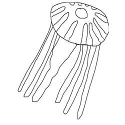 Раскраска: медуза (Животные) #20409 - Бесплатные раскраски для печати