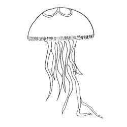 Раскраска: медуза (Животные) #20416 - Раскраски для печати