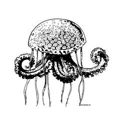 Раскраска: медуза (Животные) #20435 - Бесплатные раскраски для печати