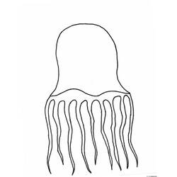 Раскраска: медуза (Животные) #20477 - Бесплатные раскраски для печати
