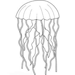 Раскраска: медуза (Животные) #20483 - Раскраски для печати