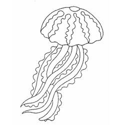 Раскраска: медуза (Животные) #20489 - Раскраски для печати