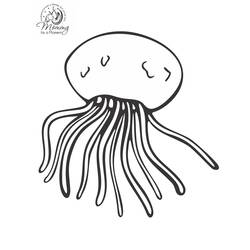Раскраска: медуза (Животные) #20568 - Раскраски для печати