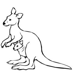 Раскраска: кенгуру (Животные) #9100 - Раскраски для печати