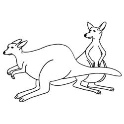 Раскраска: кенгуру (Животные) #9163 - Раскраски для печати