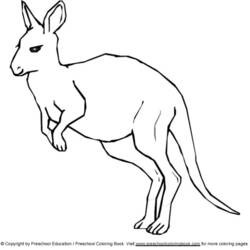 Раскраска: кенгуру (Животные) #9193 - Бесплатные раскраски для печати