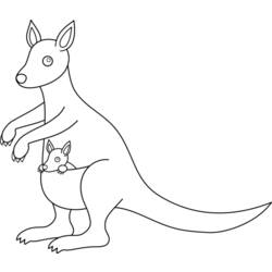 Раскраска: кенгуру (Животные) #9219 - Раскраски для печати