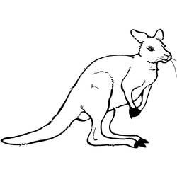 Раскраска: кенгуру (Животные) #9249 - Раскраски для печати