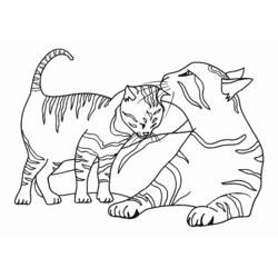 Раскраска: котенок (Животные) #18027 - Раскраски для печати