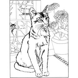 Раскраска: котенок (Животные) #18039 - Бесплатные раскраски для печати
