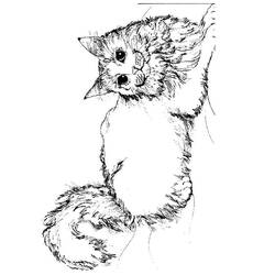 Раскраска: котенок (Животные) #18047 - Раскраски для печати