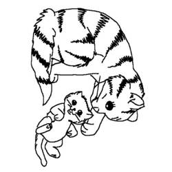 Раскраска: котенок (Животные) #18065 - Раскраски для печати