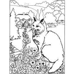 Раскраска: котенок (Животные) #18078 - Бесплатные раскраски для печати
