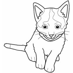 Раскраска: котенок (Животные) #18081 - Бесплатные раскраски для печати