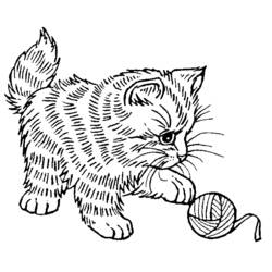 Раскраски: котенок - Раскраски для печати