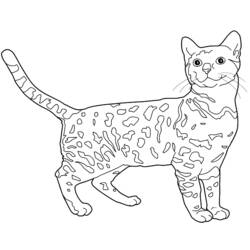 Раскраска: котенок (Животные) #18101 - Бесплатные раскраски для печати