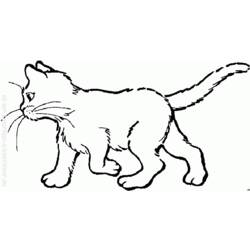Раскраска: котенок (Животные) #18112 - Бесплатные раскраски для печати