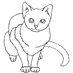 Раскраска: котенок (Животные) #18143 - Бесплатные раскраски для печати