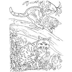 Раскраска: котенок (Животные) #18146 - Бесплатные раскраски для печати